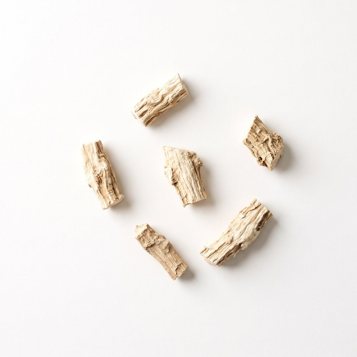 angelica, one of the nine botanicals in Fenrir gin